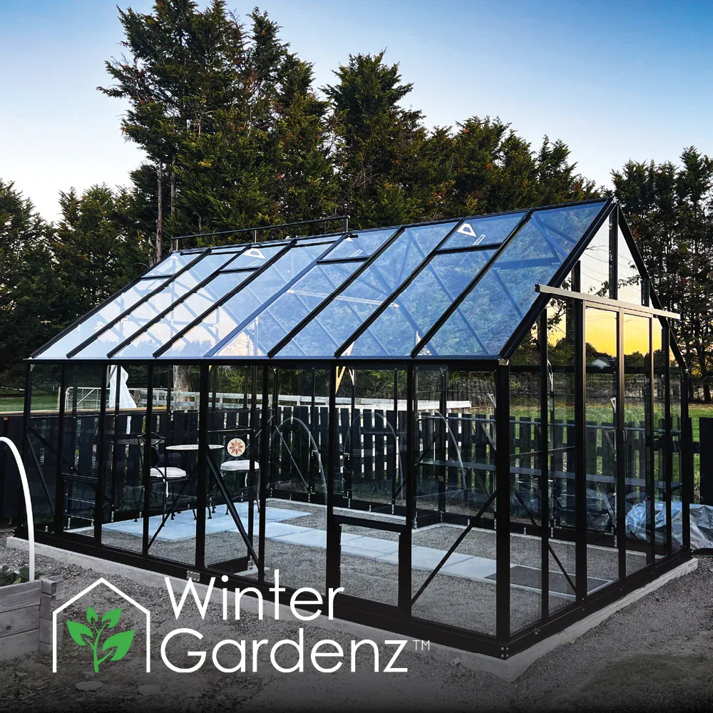 Modern glass greenhouse with black frame in outdoor garden at sunset, surrounded by trees