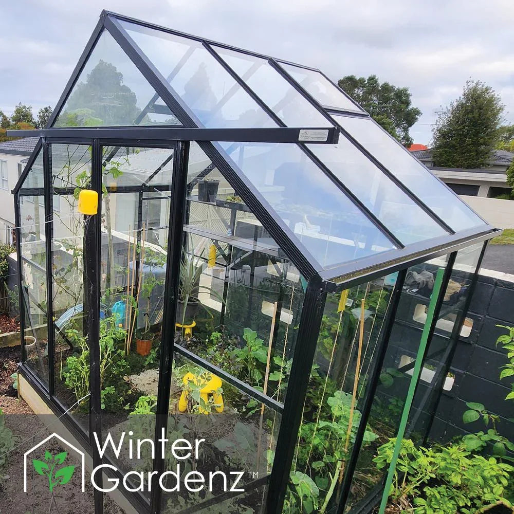 8x6ft (2.6x2m) Glasshouse 4mm Toughened Glass