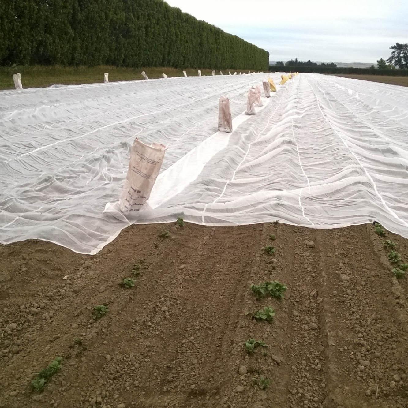 Cropsafe Protection Mesh 50m long roll - wintergardenz.co.nz