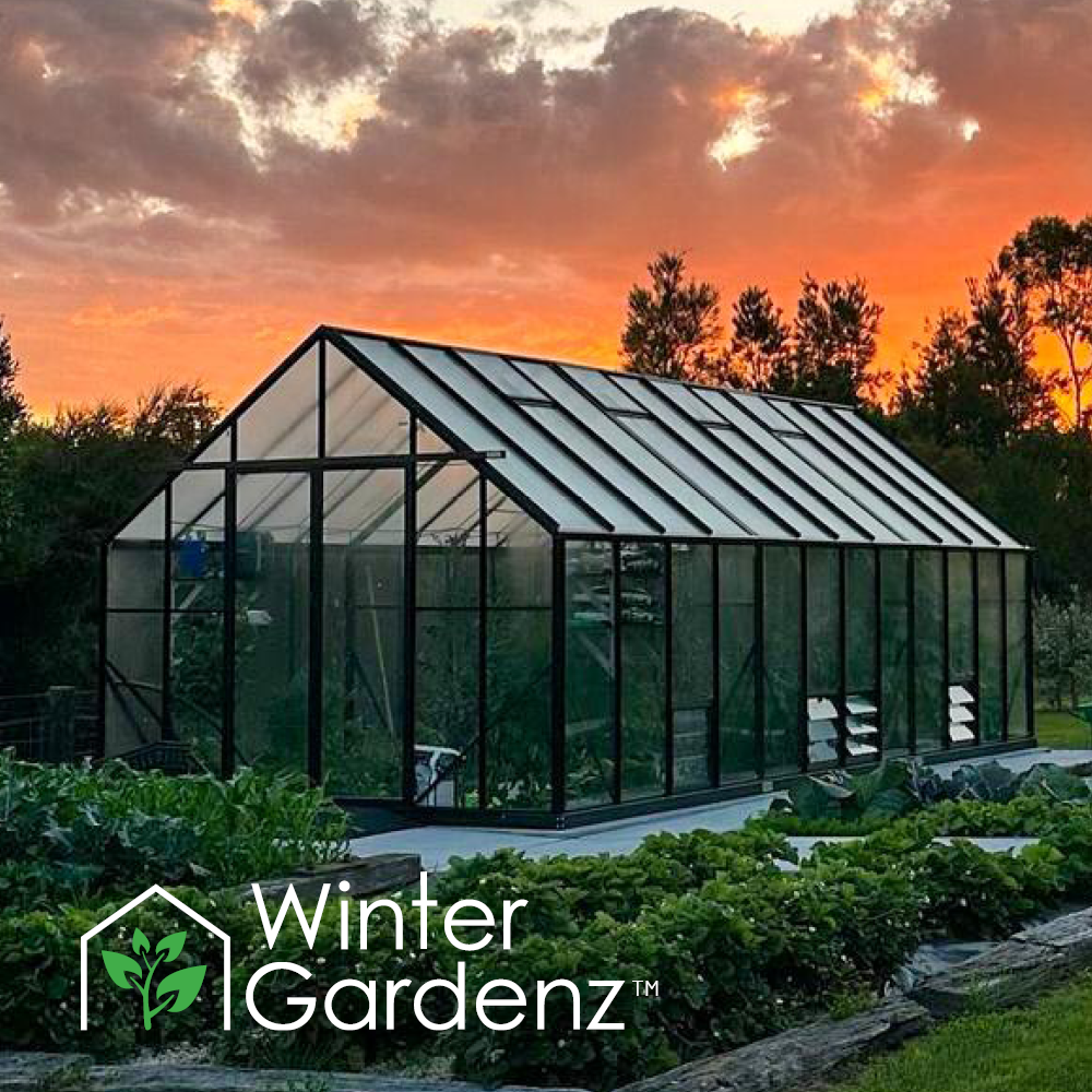 3.2m wide glasshouses
