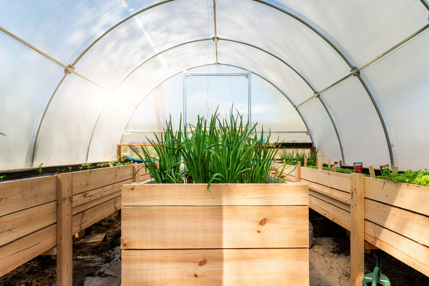 Green Thumb Series