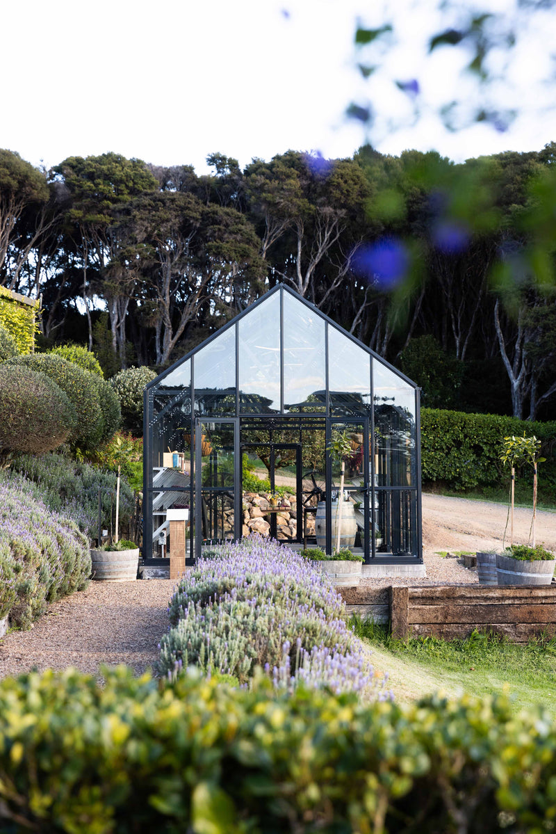 Mudbrick Restaurant & Winery | 12 × 40 ft Glasshouse | Royal Botanical Series