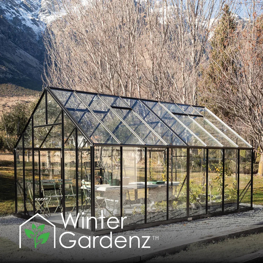 10x16 glass greenhouse with black frame, garden chairs, and plants, set in a winter landscape