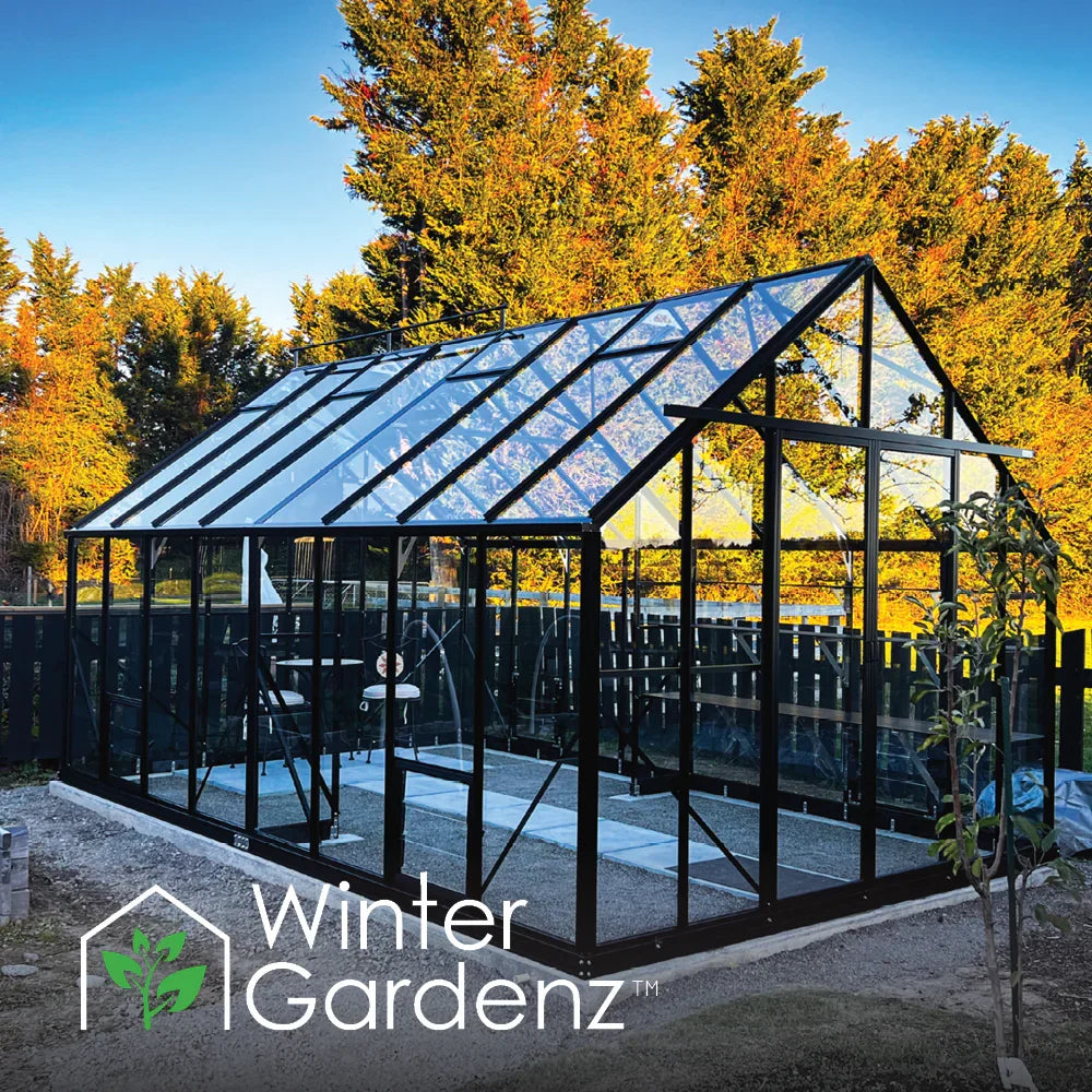 Glass greenhouse with black frame in sunny garden surrounded by autumn trees