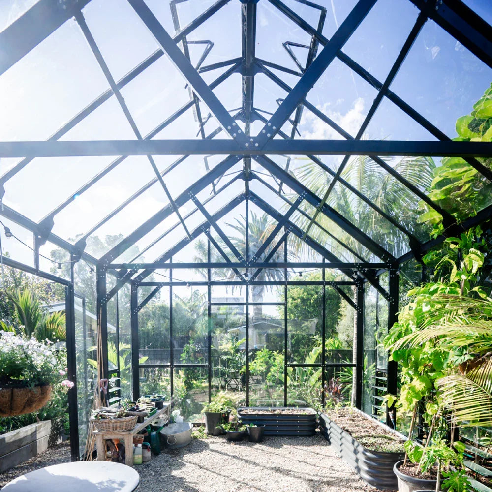 12x16ft (3.8x5.1m) Greenhouse - wintergardenz.co.nz