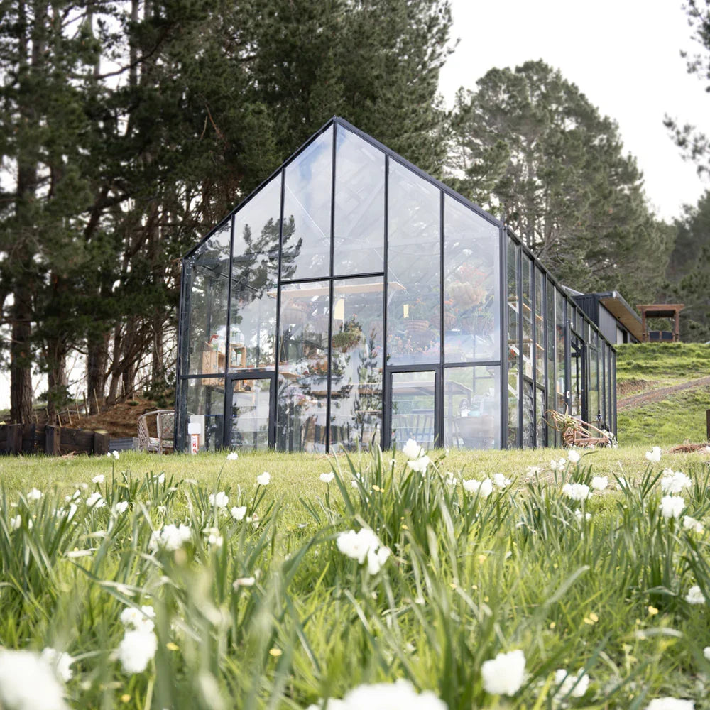 12x24ft (3.8x7.7m) Greenhouse - wintergardenz.co.nz