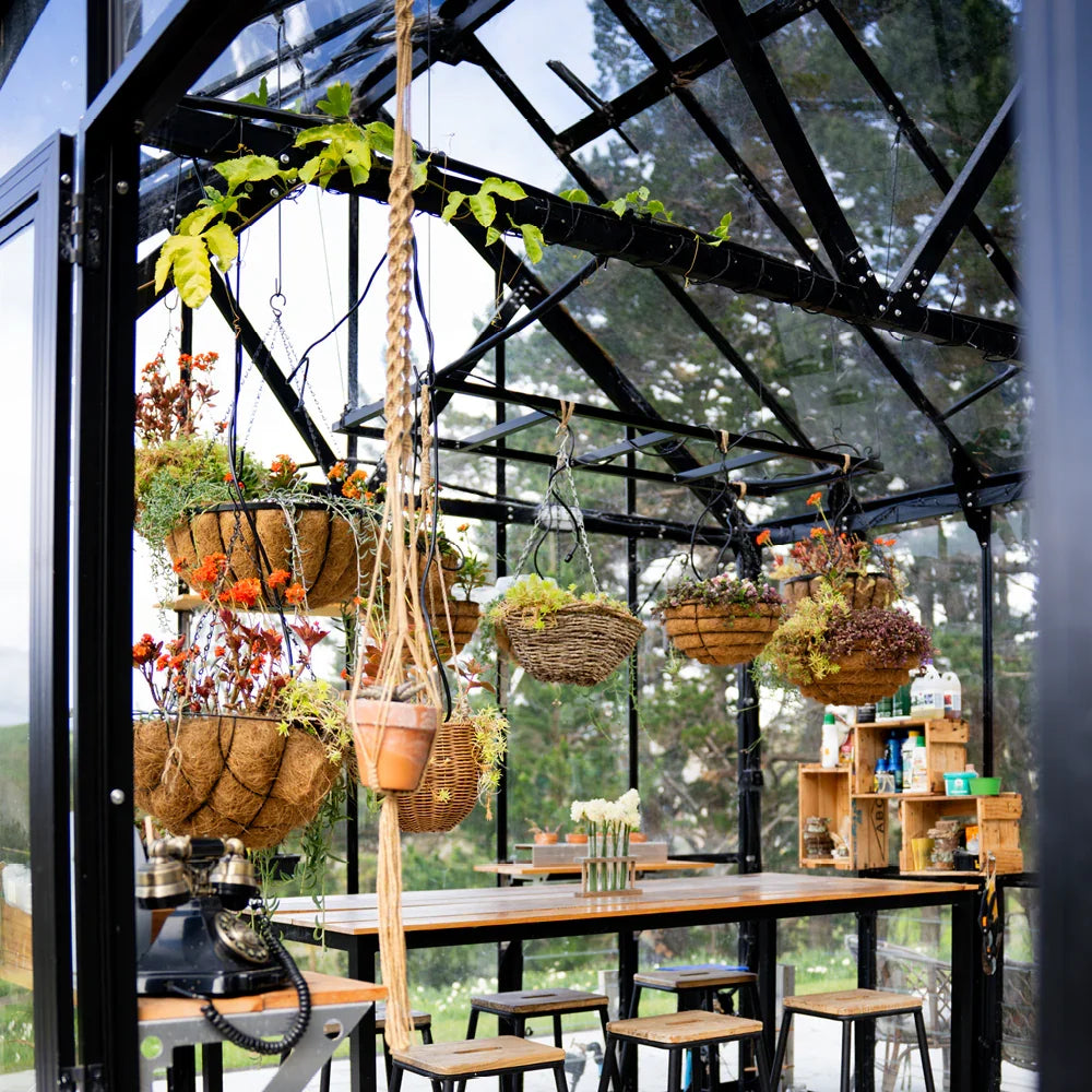 12x24ft (3.8x7.7m) Greenhouse - wintergardenz.co.nz