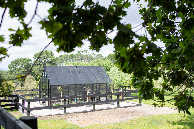 Lavender Hill |  10 × 16ft |  Kitset Glasshouse