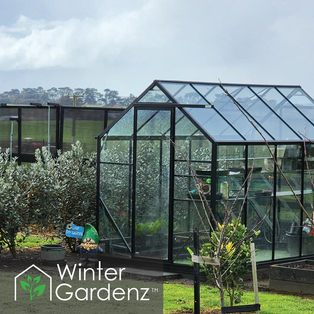 Glass greenhouse with black frame in a garden surrounded by plants and lawn under cloudy sky
