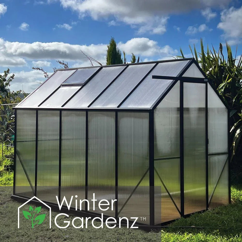  6x10ft (2x3.2m) Greenhouse 6mm Polycarbonate 