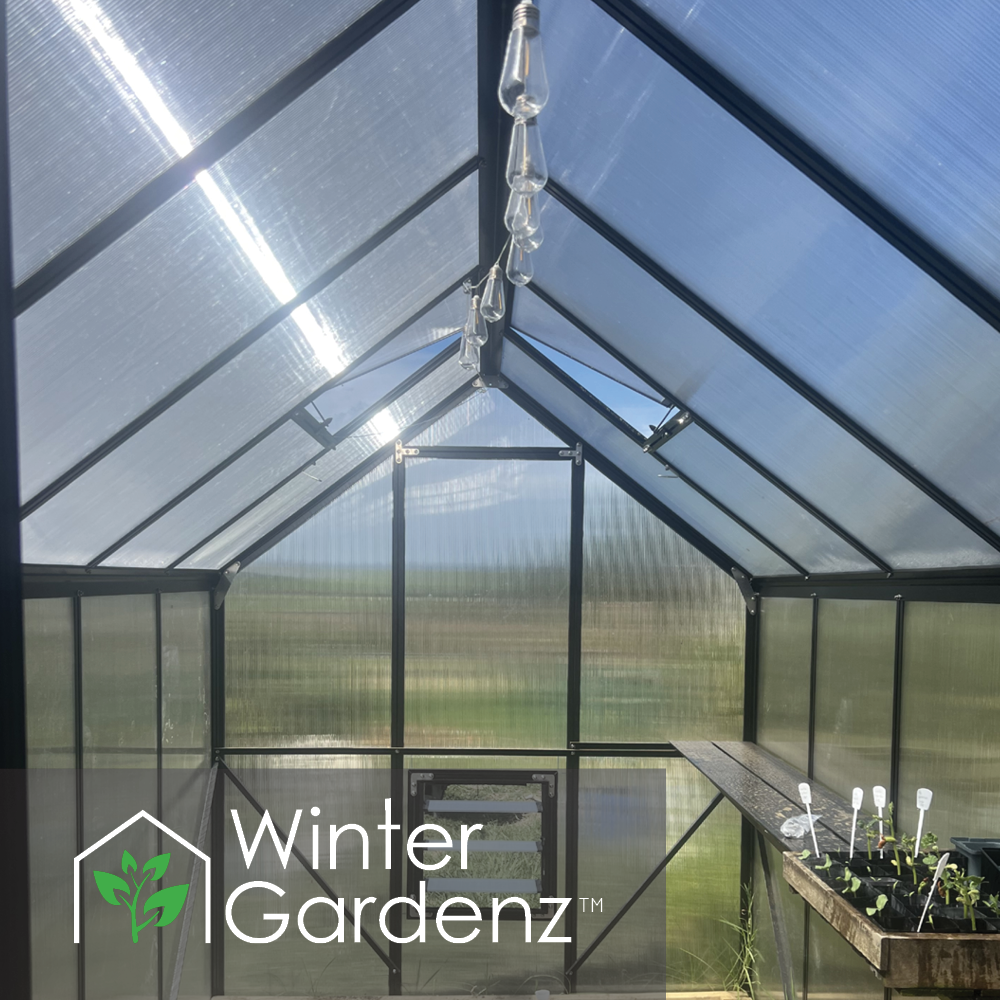 2x3.2m (6x10ft) 6mm Poly Greenhouse | Winter Gardenz