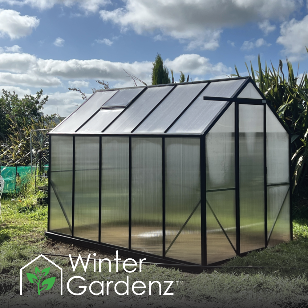 2x3.2m (6x10ft) 6mm Poly Greenhouse | Winter Gardenz