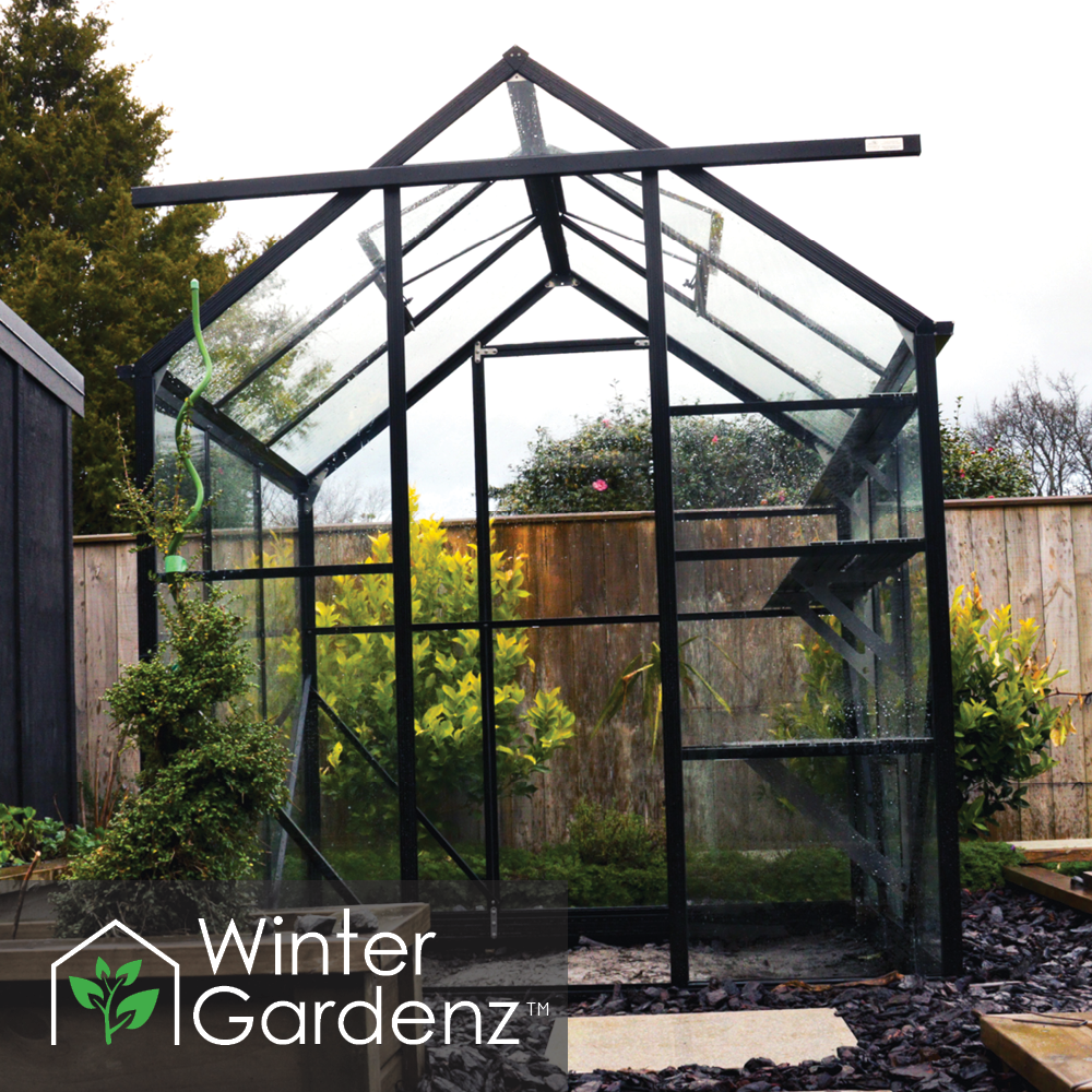 Modern black-framed glass greenhouse in a backyard garden with plants and wooden fence