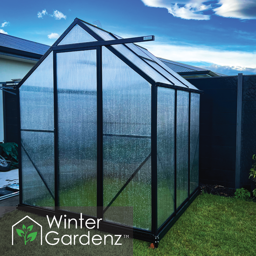 2x2m (6x6ft) 6mm Poly Greenhouse | Winter Gardenz