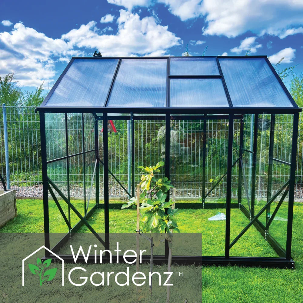6x8 glass greenhouse with black frame on green lawn under blue sky with clouds