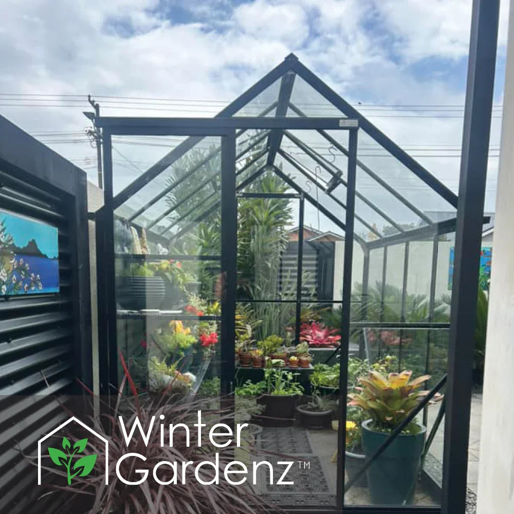 Small black-framed glass greenhouse filled with vibrant potted plants and succulents under a cloudy sky
