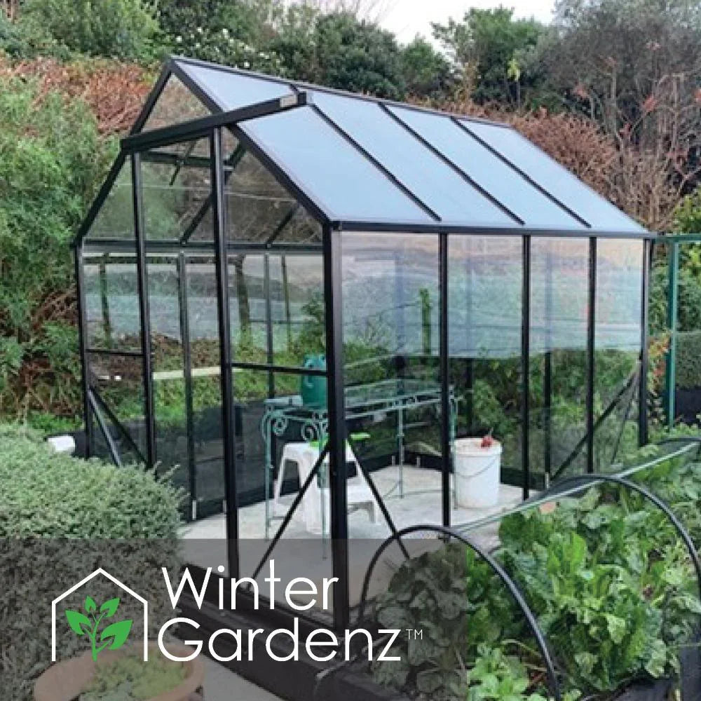 6x8ft (2x2.6m) Glasshouse 4mm Toughened Glass 