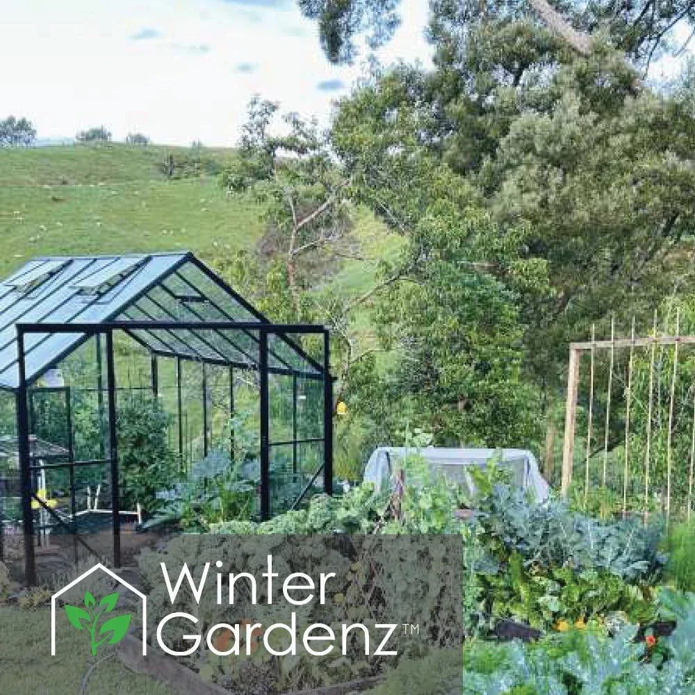  8x12ft (2.6x3.8m) Glasshouse 4mm Toughened Glass 