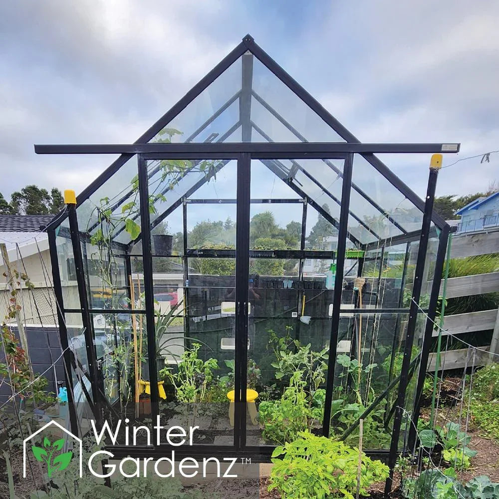  8x6ft (2.6x2m) Glasshouse 4mm Toughened Glass 