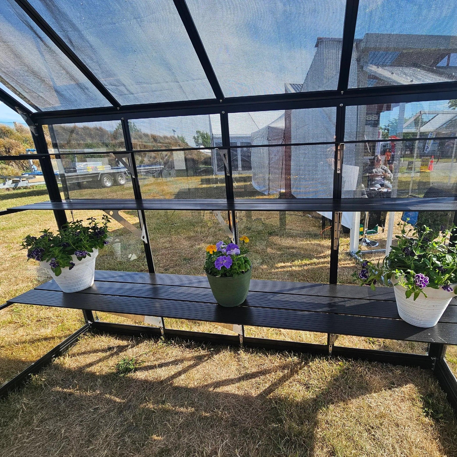 Black metal-framed greenhouse with glass shelves holding three potted flowering plants outdoors