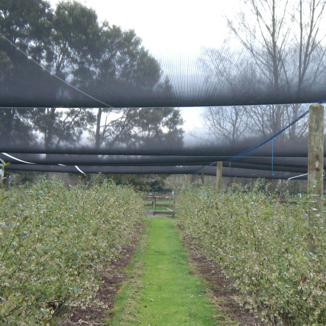 Ultra-pro Canopy Netting per roll - wintergardenz.co.nz