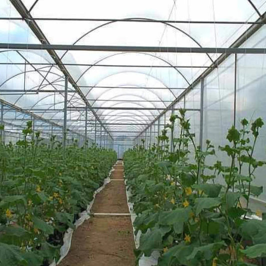 Polygro Greenhouse Film 200mu - wintergardenz.co.nz