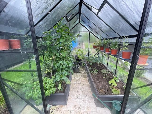 Winter Gardenz 8x10ft (2.6x3.2m) Glasshouse 4mm Toughened Glass